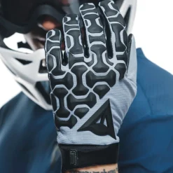 Dainese HGR Handschoenen Ext - tradewinds
