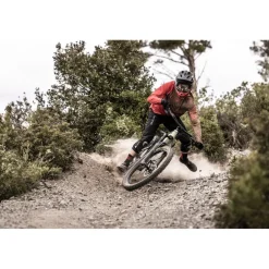 Dainese HgROX Short Heren - zwart