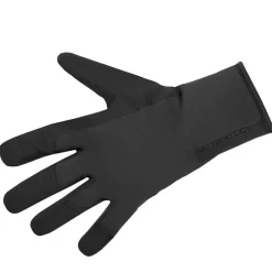 Endura Pro SL Waterdicht PrimaLoft® Handschoenen - zwart