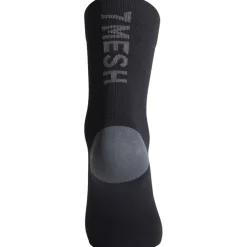 7mesh Word 6