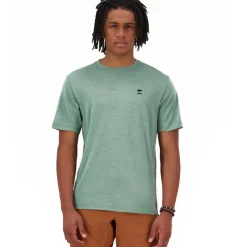 Mons Royale Tarn Merino T-Shirt Heren - thyme / cypress