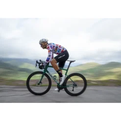 Nalini Animal Fietsshirt heren - brand 4030