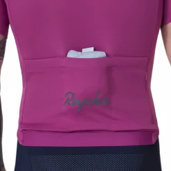 Rapha Brevet E. Windbreaker Heren - arctic ice/silver reflective