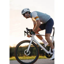 Roeckl Sports Ibio 2 Fietshandschoenen - plum shadow 4870